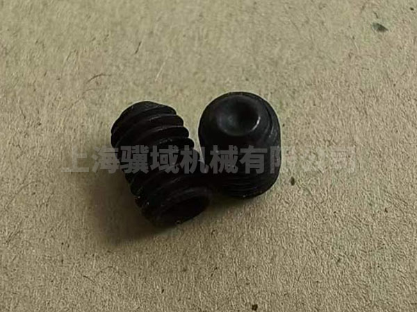 R21128004006 (M4x6 )