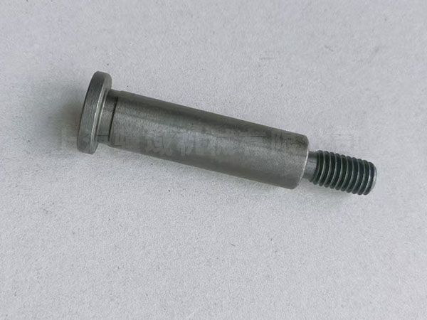 9C1-170-008 ݽz